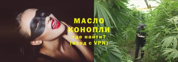 прущие грибы Коряжма
