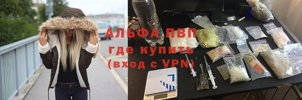 прущие грибы Коряжма