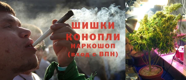 прущие грибы Коряжма