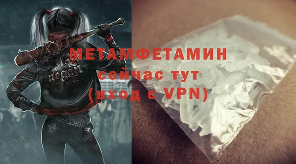 прущие грибы Коряжма